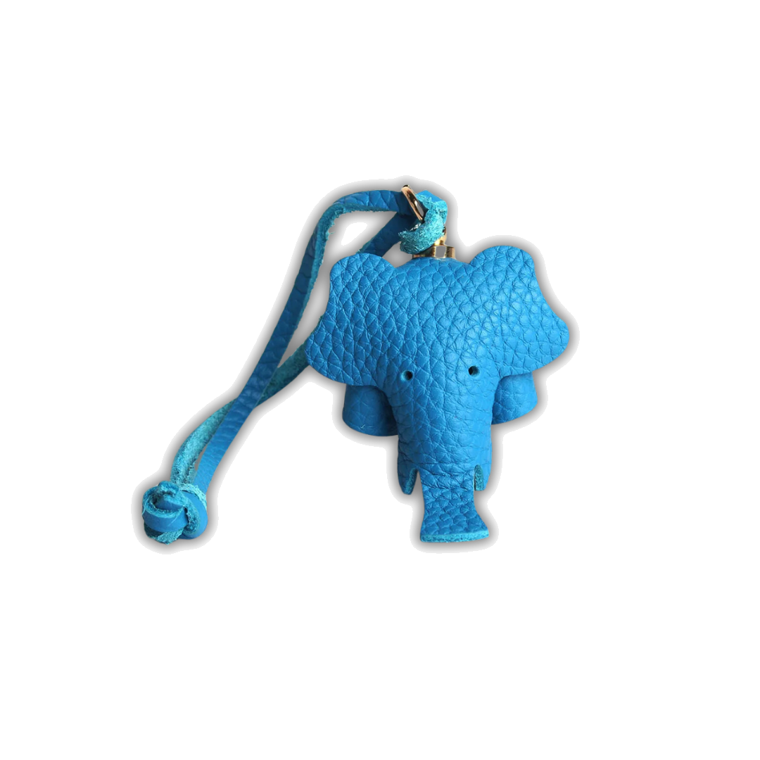EleCharm