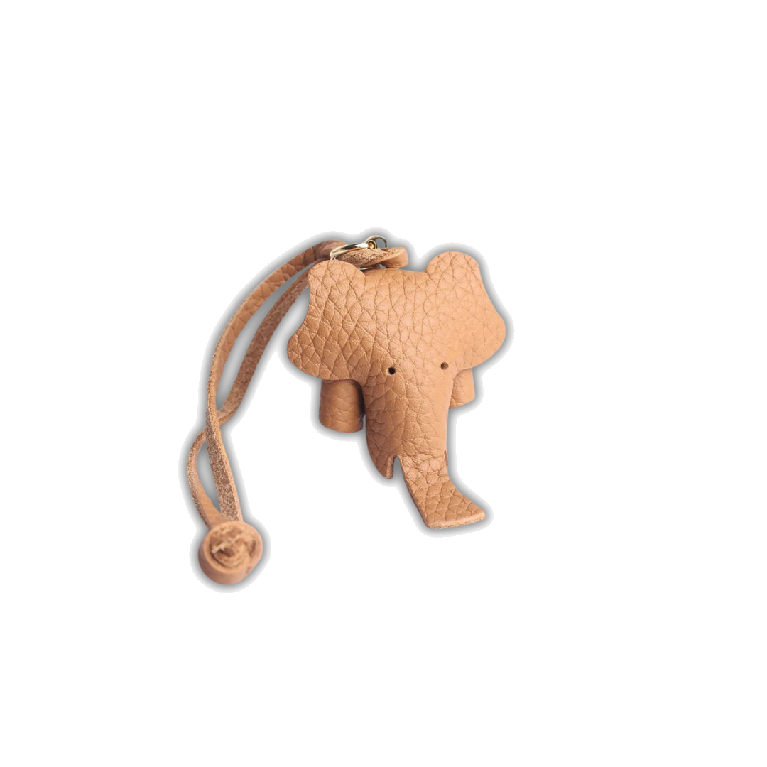 EleCharm