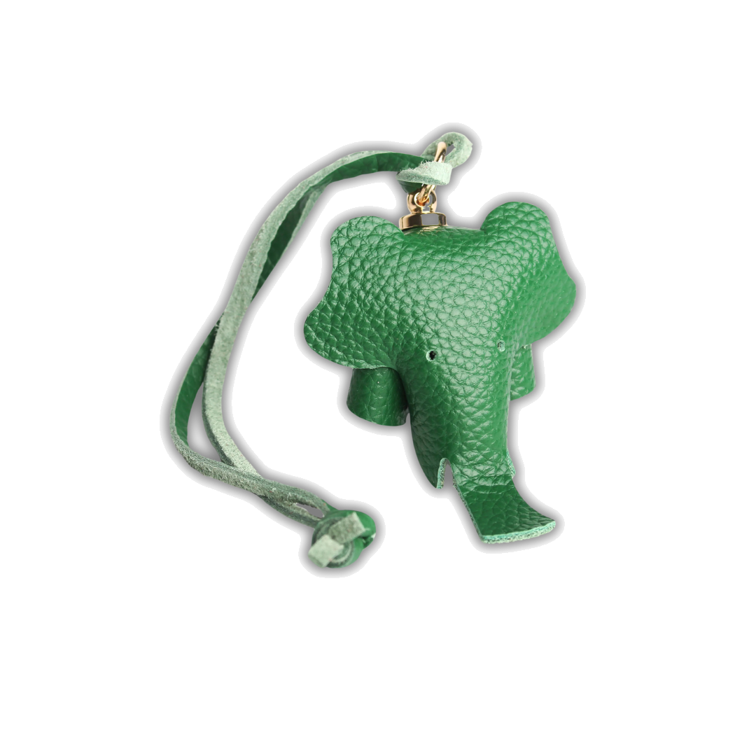 EleCharm