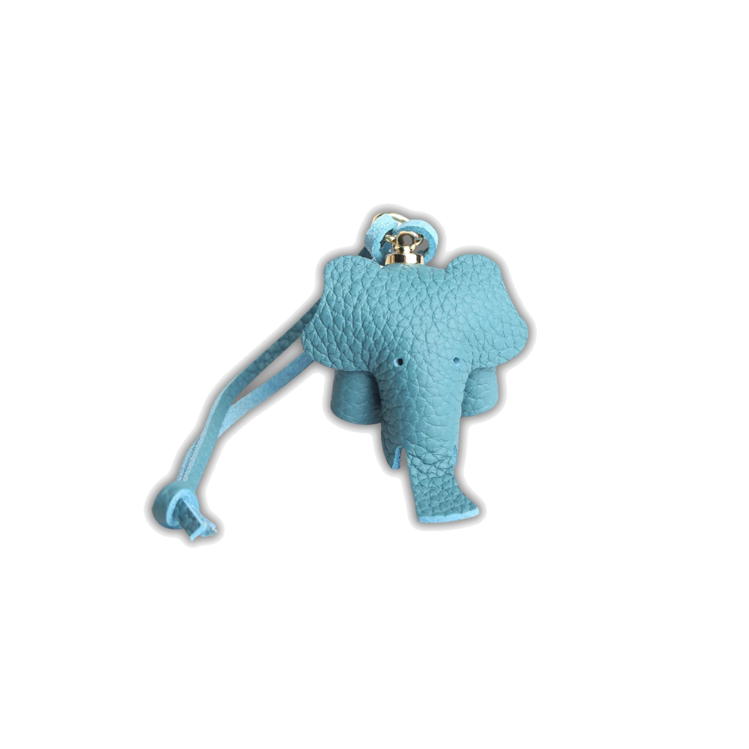 EleCharm