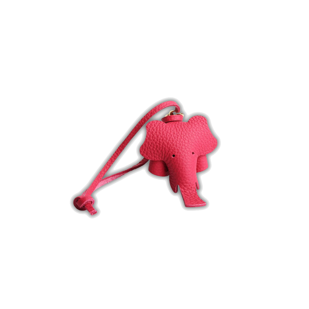 EleCharm