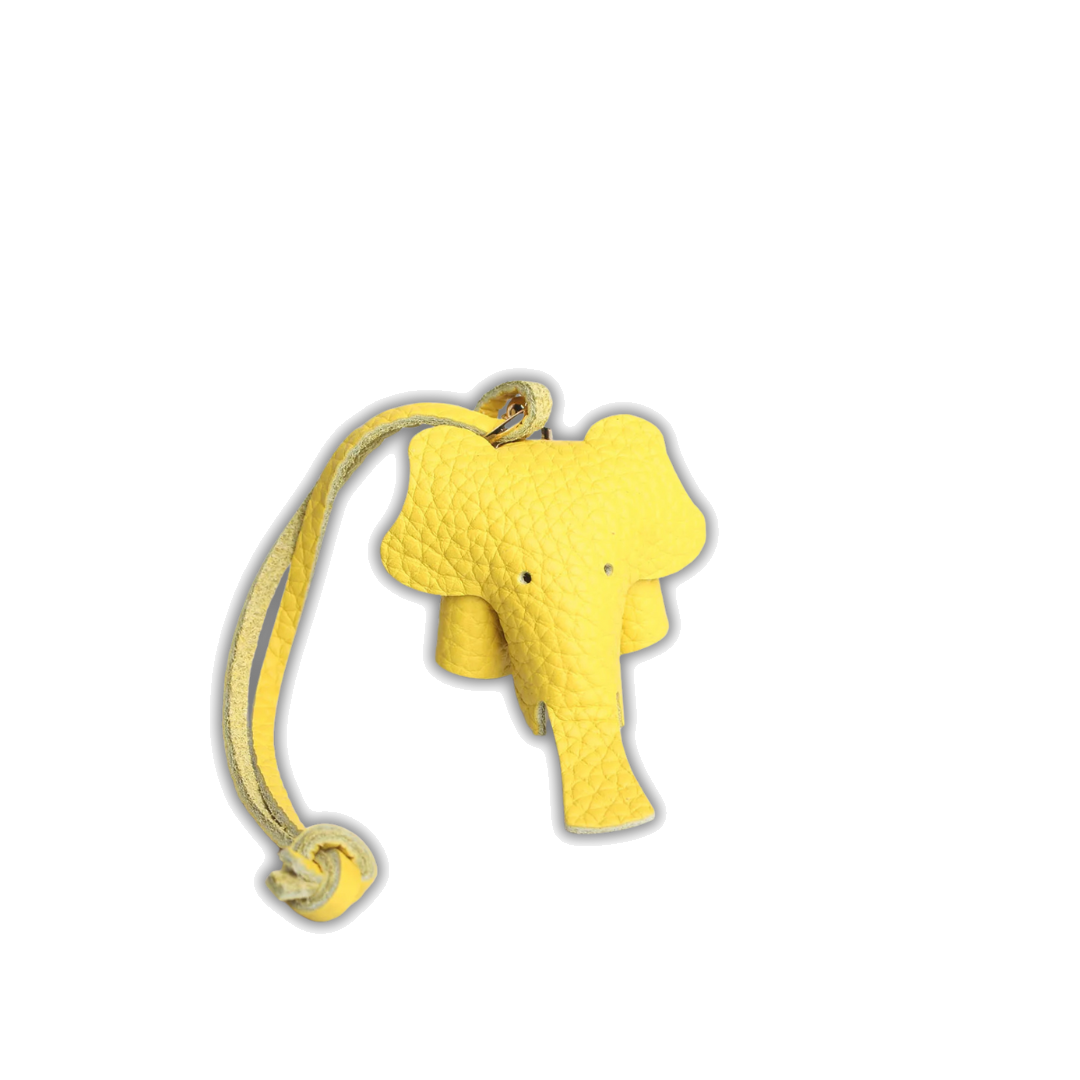EleCharm