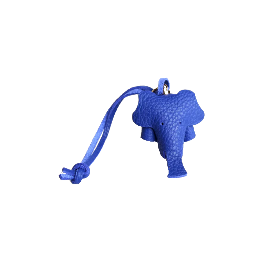 EleCharm