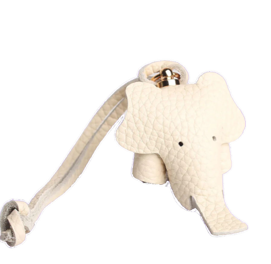 EleCharm