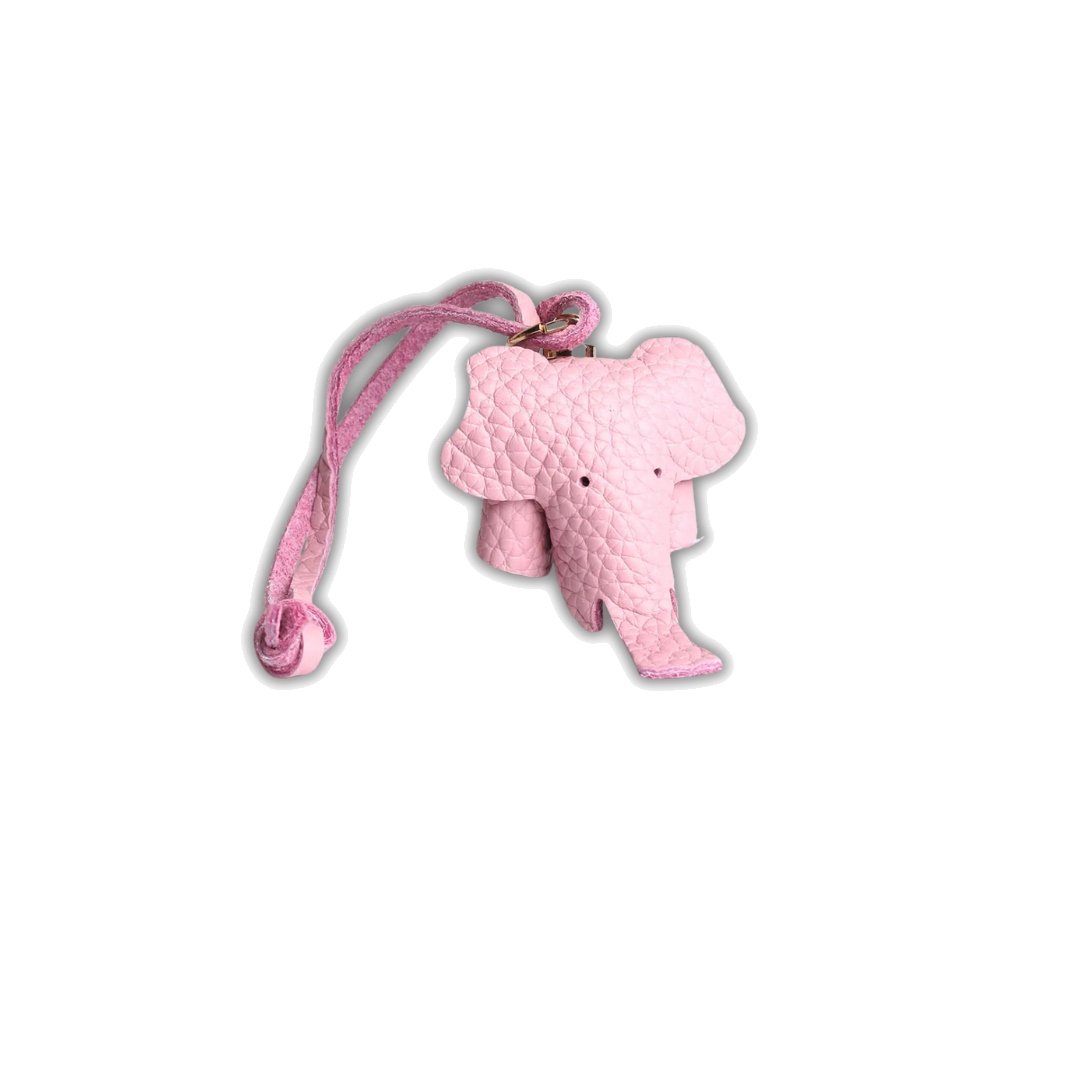 EleCharm