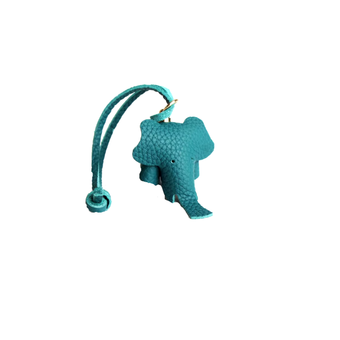 EleCharm